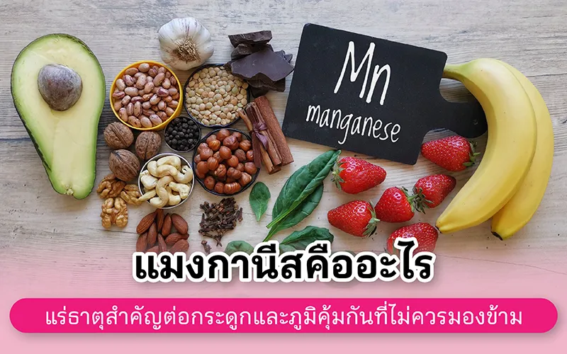แมงกานีสคืออะไร แร่ธาตุสำคัญต่อกระดูกและภูมิคุ้มกันที่ไม่ควรมองข้าม 02